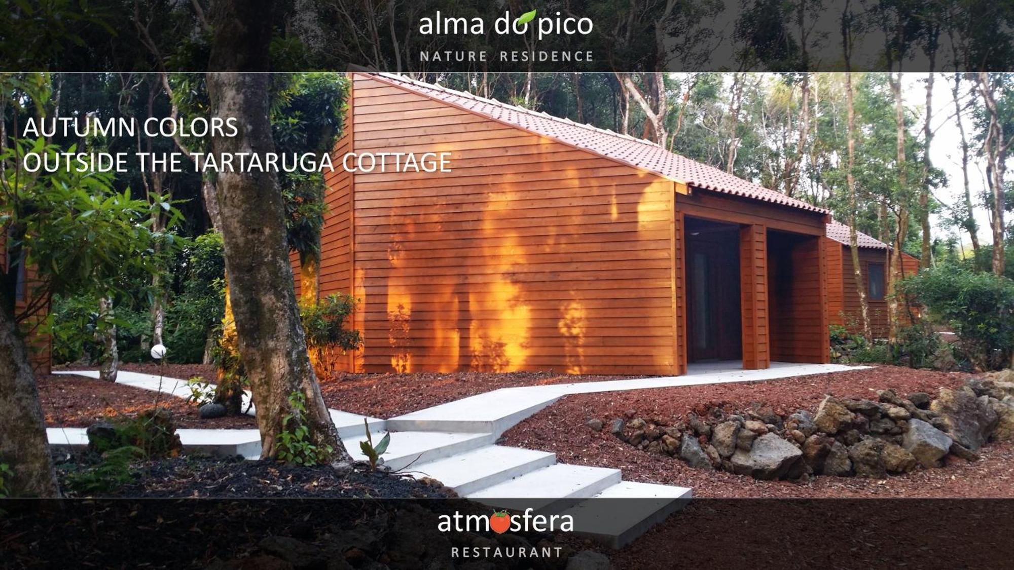Alma Do Pico - Nature Residence Madalena  Room photo