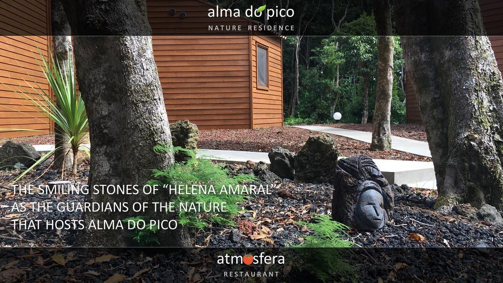 Alma Do Pico - Nature Residence Madalena  Exterior photo