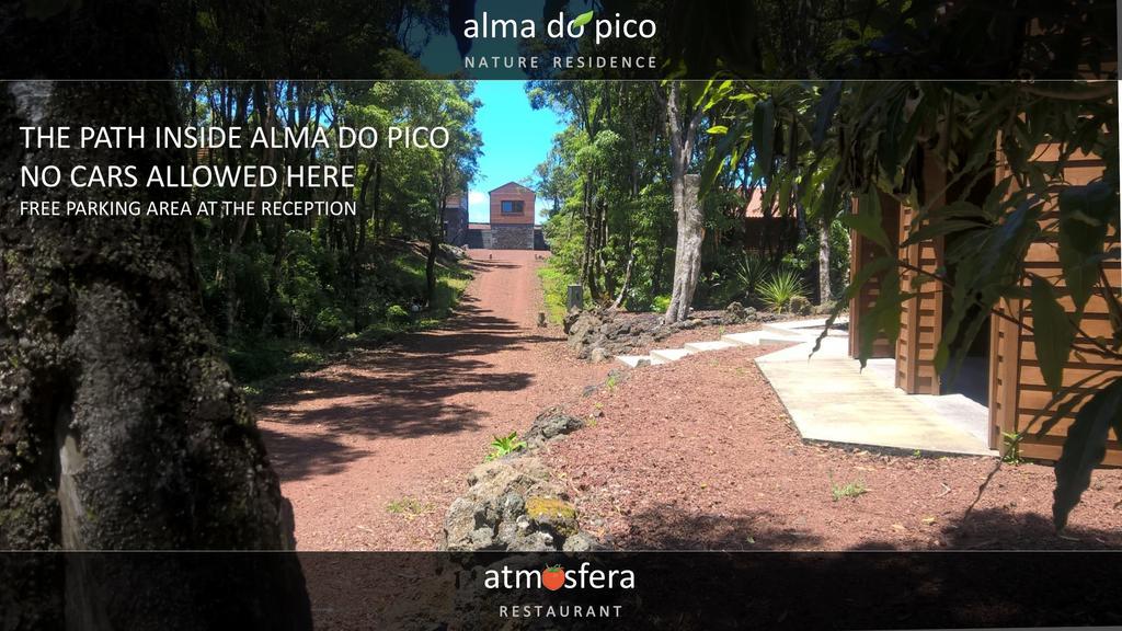 Alma Do Pico - Nature Residence Madalena  Exterior photo